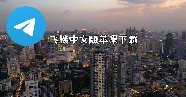 飞機中文版苹果下載