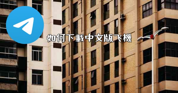 如何下載中文版飞機