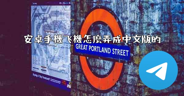 安卓手機飞機怎麼弄成中文版的