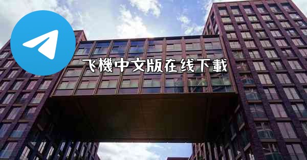 飞機中文版在线下載