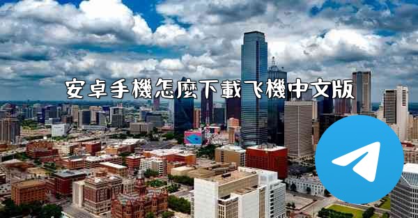 安卓手機怎麼下載飞機中文版