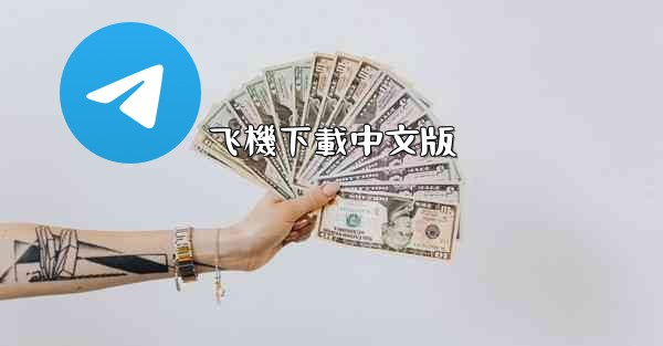 飞機下載中文版