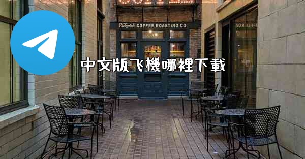 中文版飞機哪裡下載