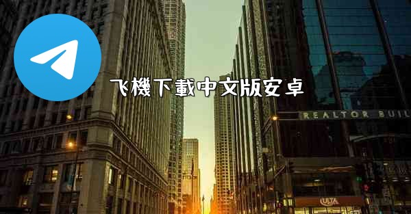 飞機下載中文版安卓