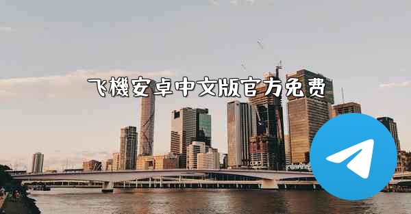 飞機安卓中文版官方免费