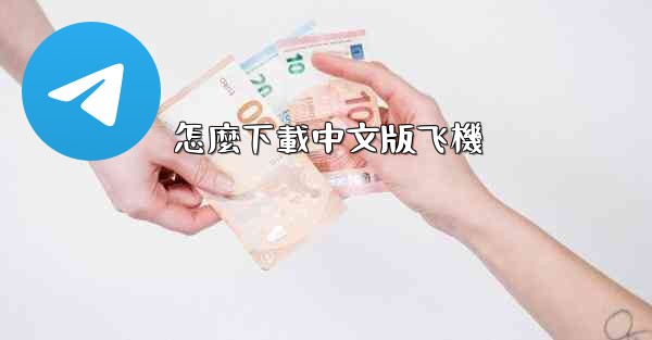 怎麼下載中文版飞機