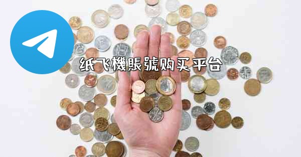 纸飞機賬號购买平台