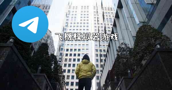 飞機模拟器游戏