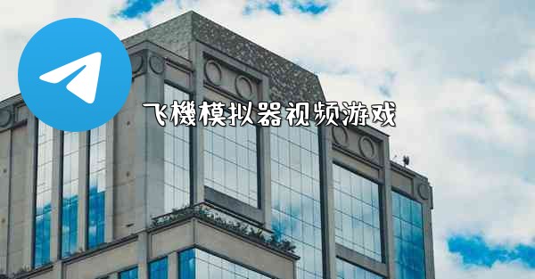 飞機模拟器视频游戏