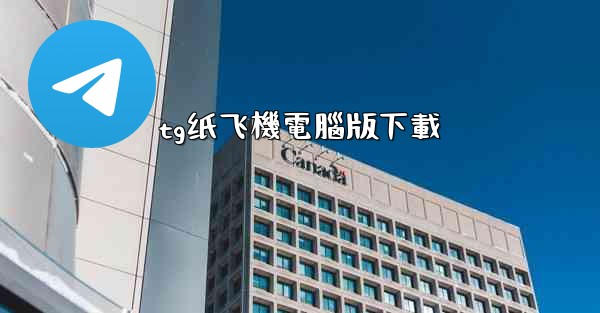 tg纸飞機電腦版下載