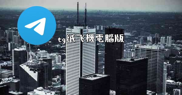 tg纸飞機電腦版