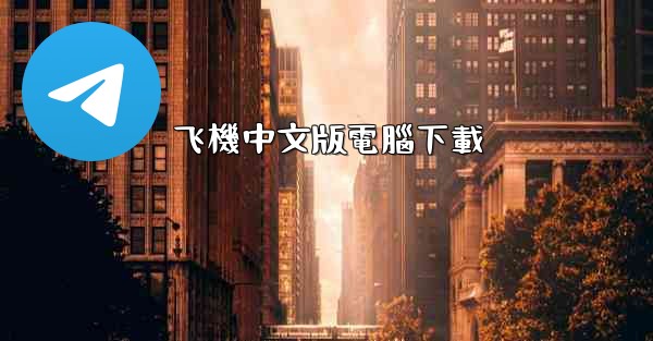 飞機中文版電腦下載