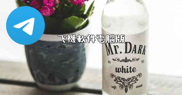 飞機軟件電腦版