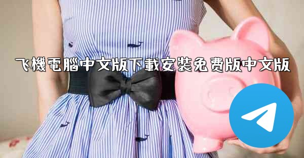 飞機電腦中文版下載安裝免费版中文版