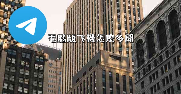 電腦版飞機怎麼多開