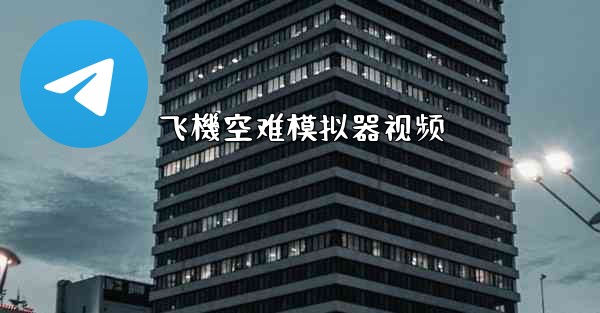 飞機空难模拟器视频