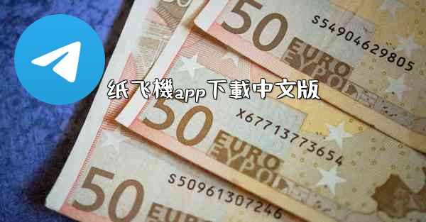 纸飞機app下載中文版