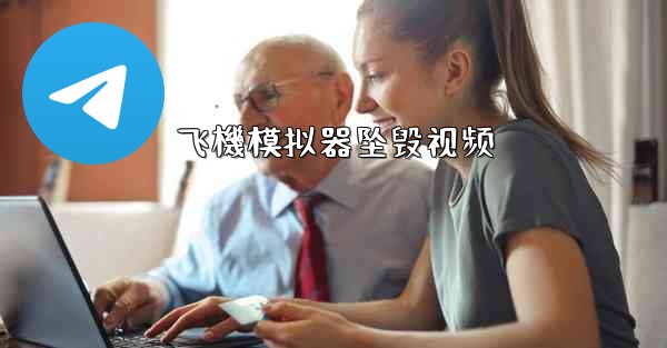 飞機模拟器坠毁视频