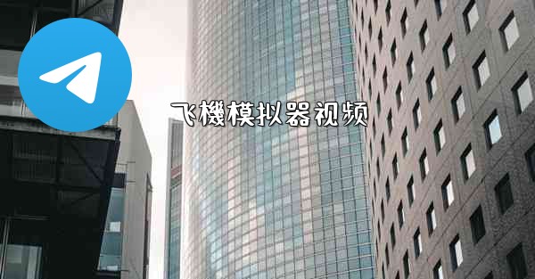 飞機模拟器视频