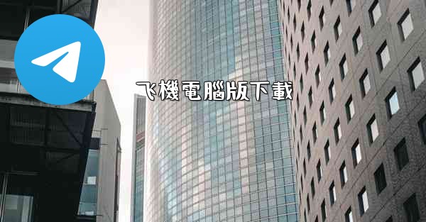 飞機電腦版下載