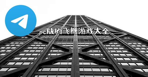 pc版的飞機游戏大全