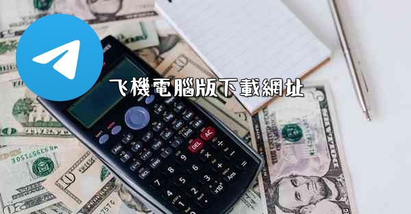 飞機電腦版下載網址