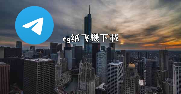 tg纸飞機下載