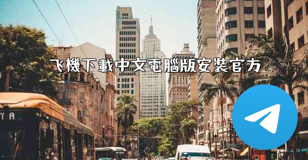 飞機下載中文電腦版安裝官方