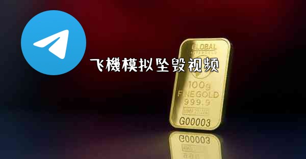 飞機模拟坠毁视频