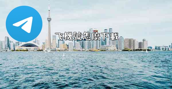 飞機號怎麼下載