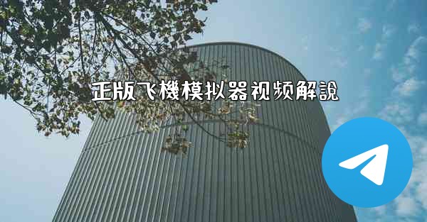 正版飞機模拟器视频解說