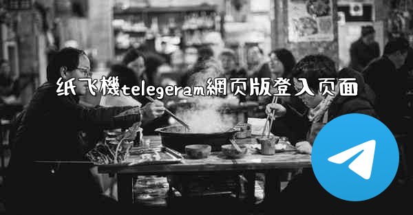 纸飞機telegeram網页版登入页面