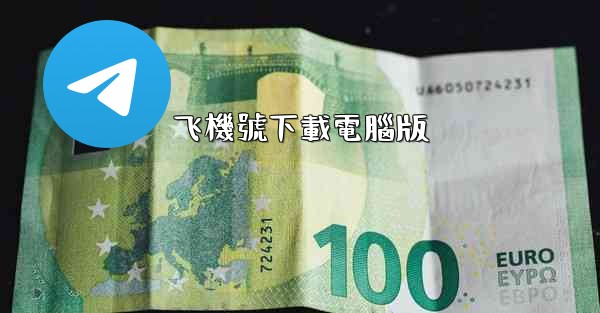 飞機號下載電腦版