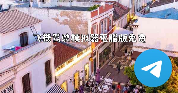 飞機驾驶模拟器電腦版免费