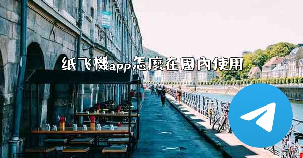纸飞機app怎麼在國內使用