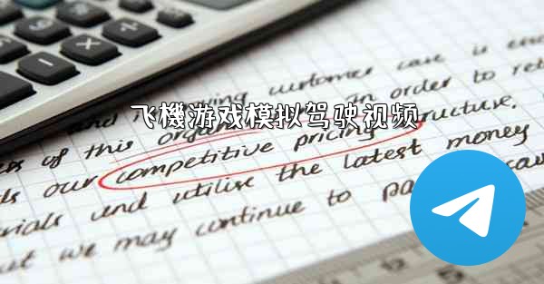 飞機游戏模拟驾驶视频