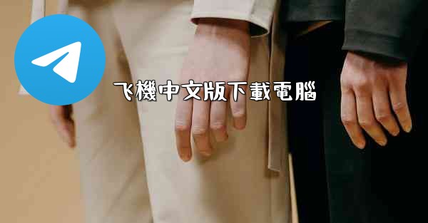 飞機中文版下載電腦