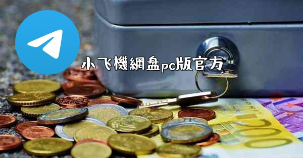 小飞機網盘pc版官方