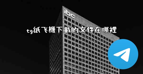 tg纸飞機下載的文件在哪裡