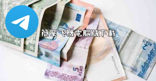 簡單飞機電腦版下載