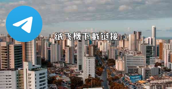 纸飞機下載链接