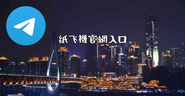 纸飞機官網入口