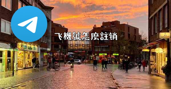 飞機號怎麼註销