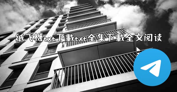 纸飞機txt下載txt全集下載全文阅读