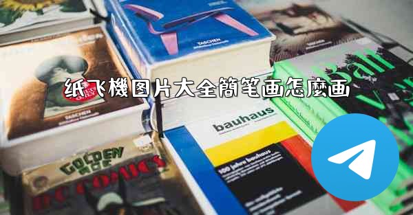 纸飞機图片大全簡笔画怎麼画