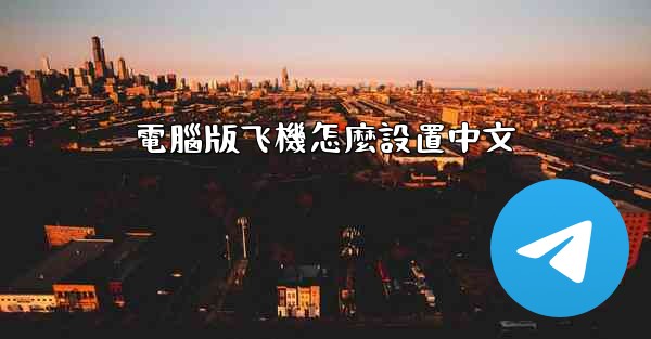 電腦版飞機怎麼設置中文