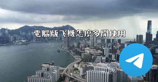 電腦版飞機怎麼多開使用