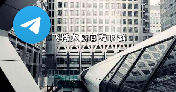 飞機大厨官方下載