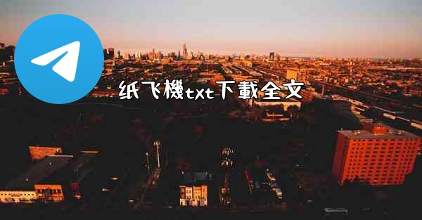 纸飞機txt下載全文