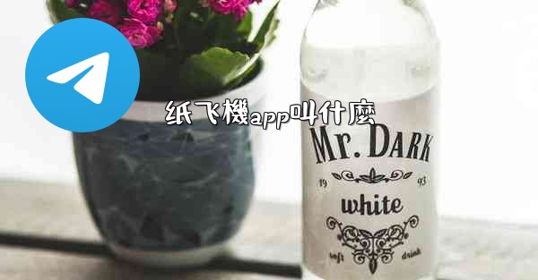 纸飞機app叫什麼